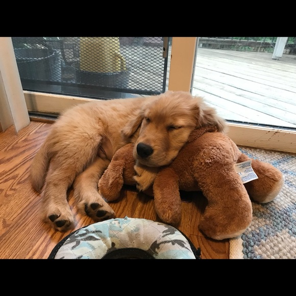 Meet your Posher, Chris - Picture 1 of 1